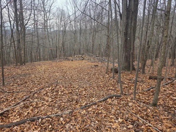 $122,500 | 0 Hickory Falls Road, Blue Ridge, VA 24064