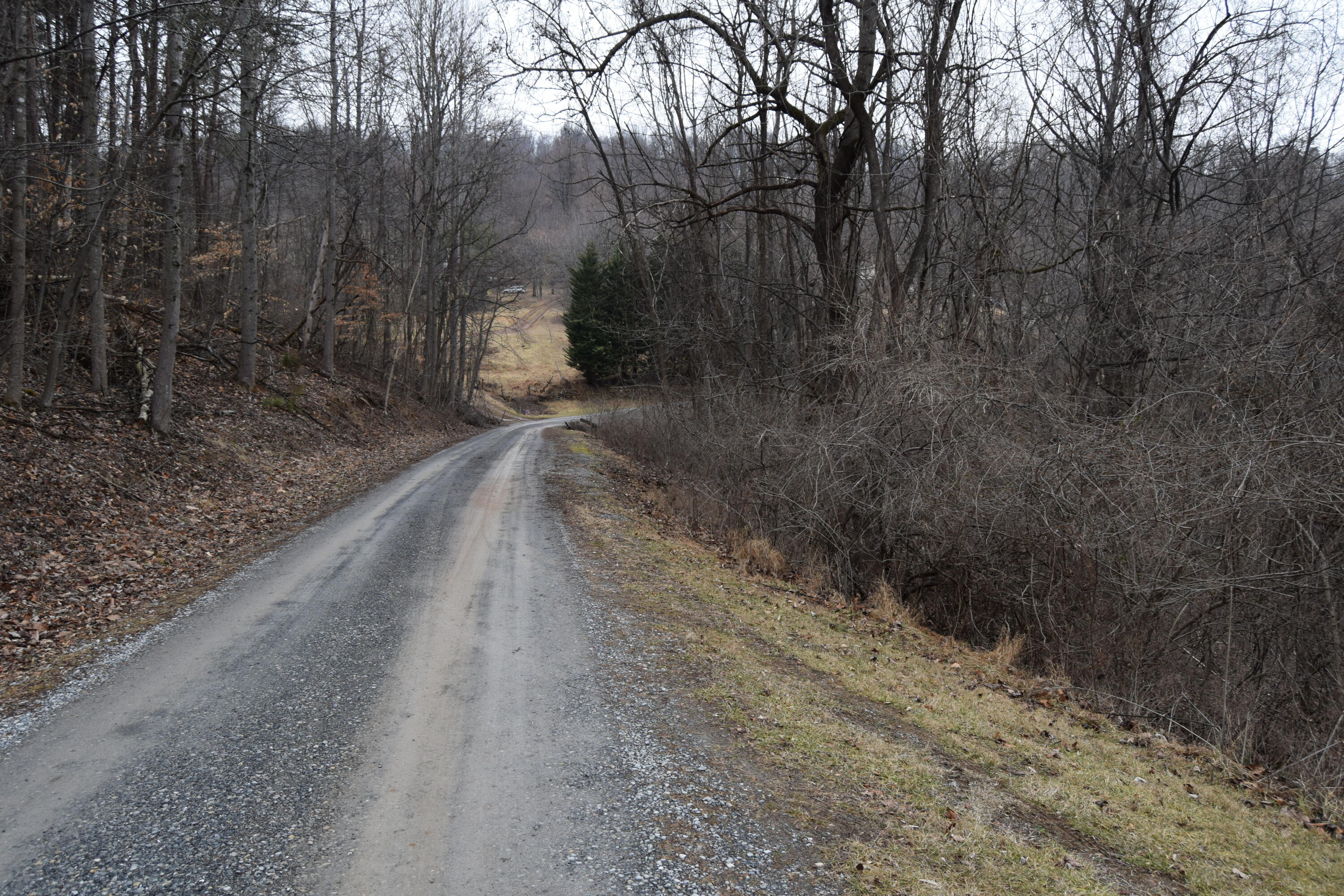 0 Hickory Falls Road Blue Ridge, VA 24064 - Photo 14 of 37 a view of a yard with trees