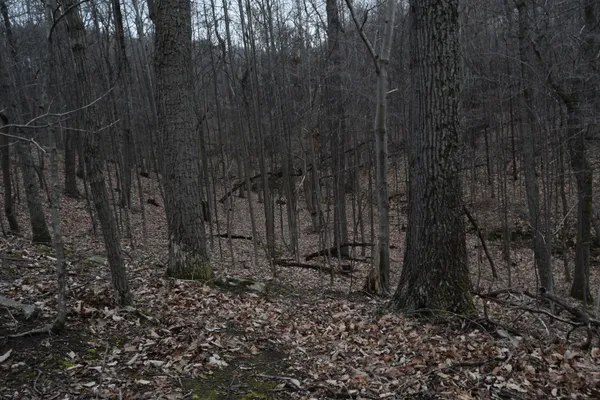 $122,500 | 0 Hickory Falls Road, Blue Ridge, VA 24064