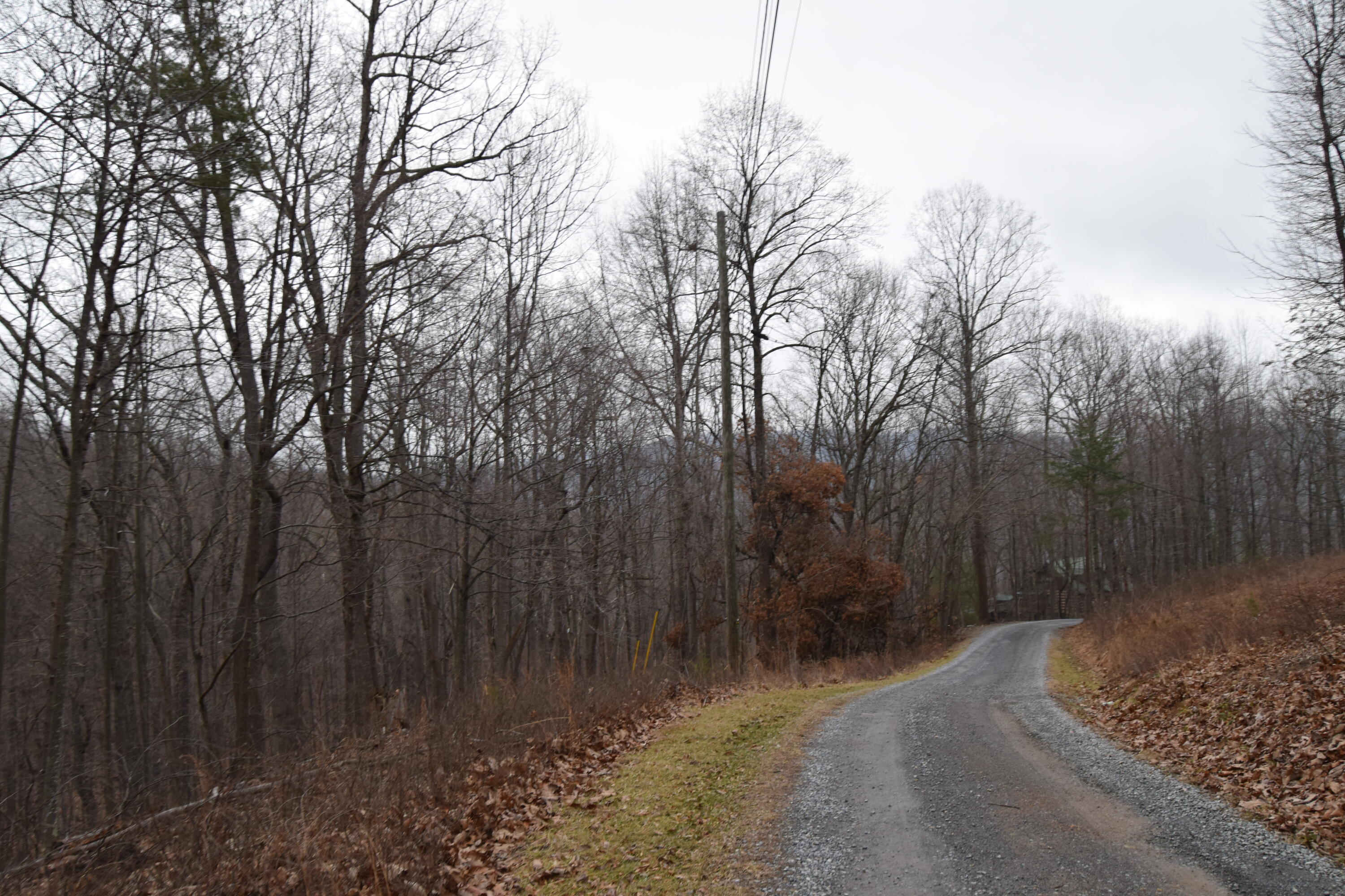 0 Hickory Falls Road Blue Ridge, VA 24064 - Photo 19 of 37 a view of a yard with trees