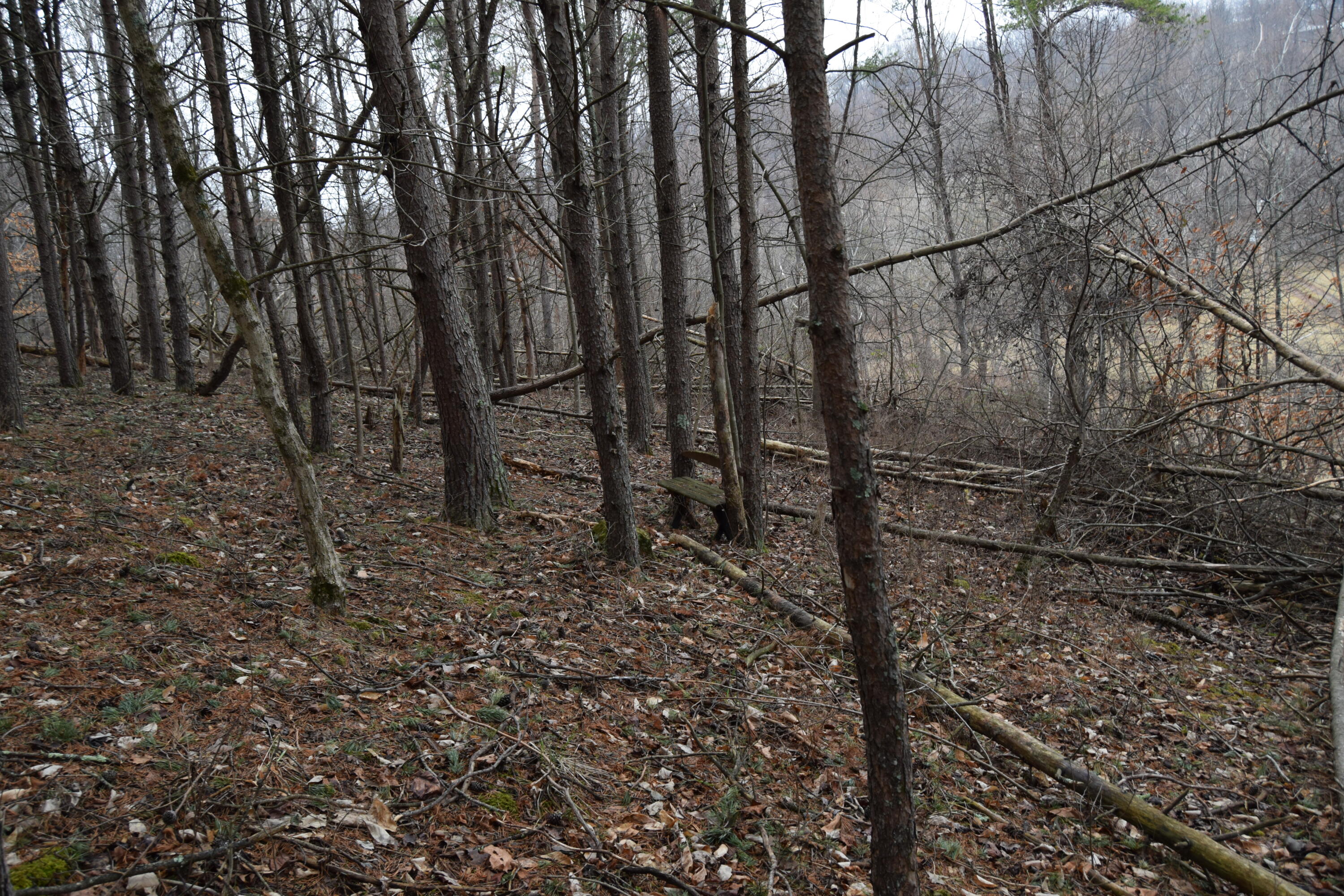 0 Hickory Falls Road Blue Ridge, VA 24064 - Photo 25 of 37 a view of a backyard of the house