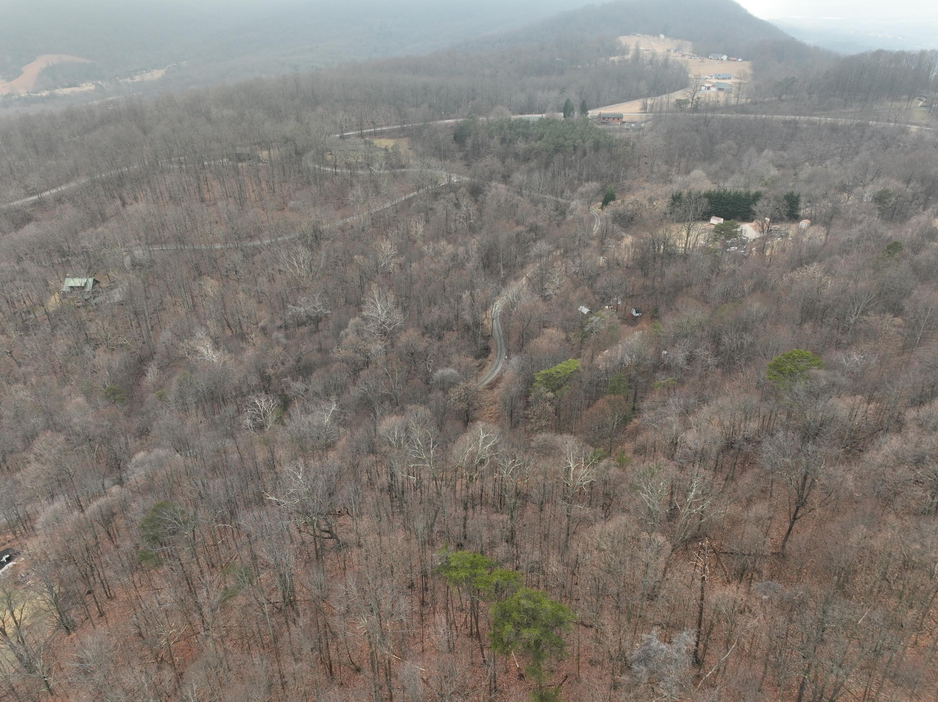 0 Hickory Falls Road Blue Ridge, VA 24064 - Photo 28 of 37 a view of a dry yard