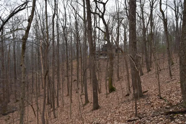 $122,500 | 0 Hickory Falls Road, Blue Ridge, VA 24064