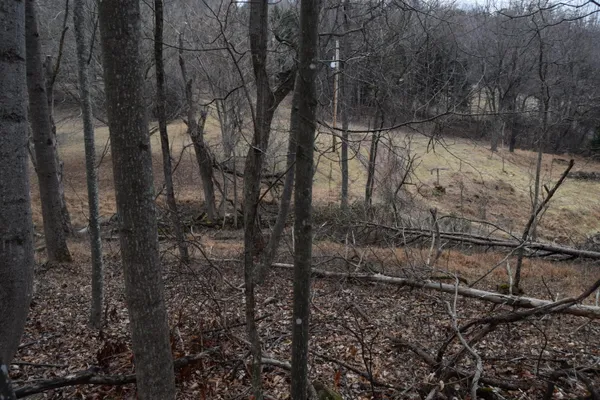 $122,500 | 0 Hickory Falls Road, Blue Ridge, VA 24064