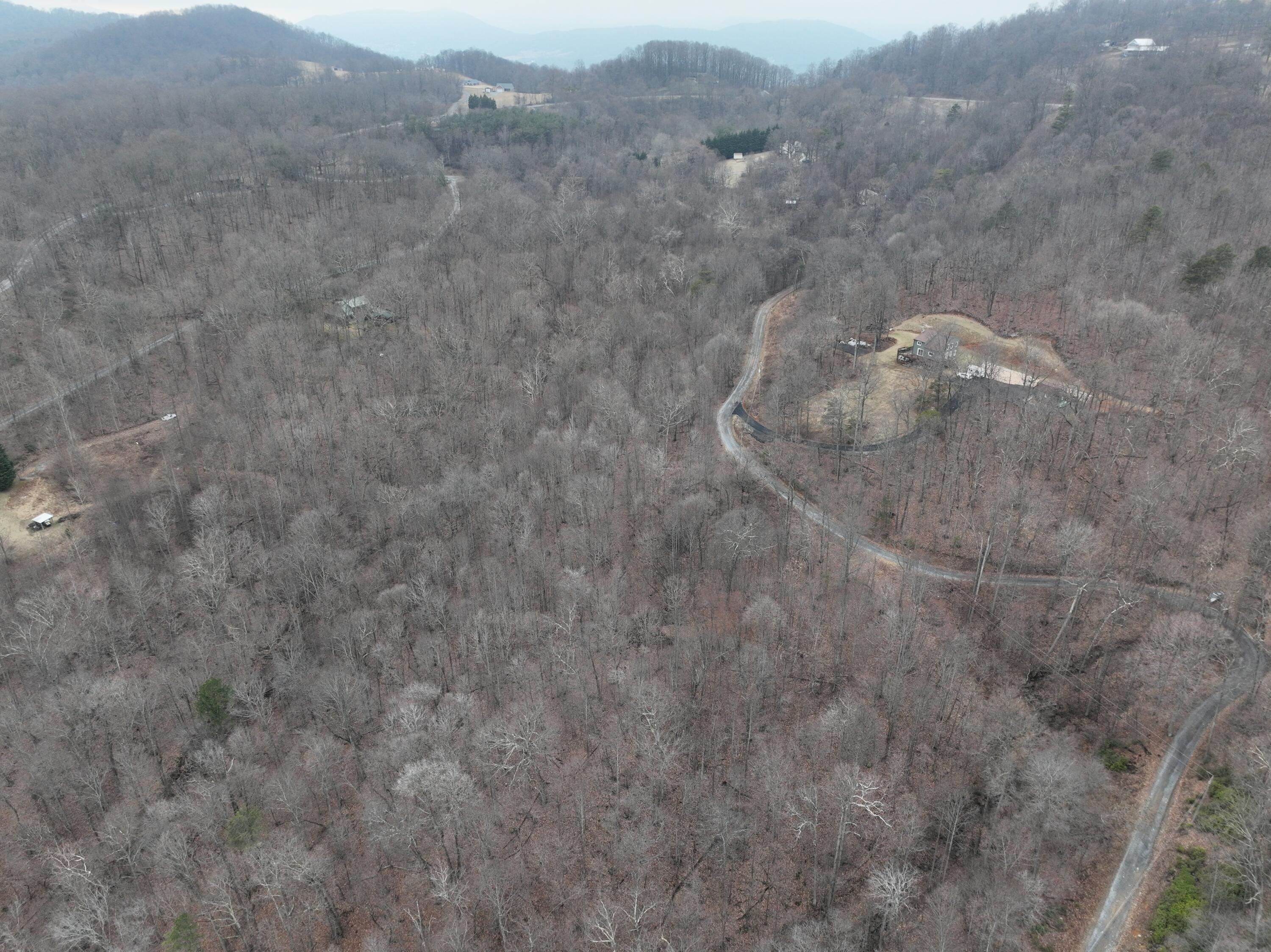 0 Hickory Falls Road Blue Ridge, VA 24064 - Photo 34 of 37 a view of a dry field