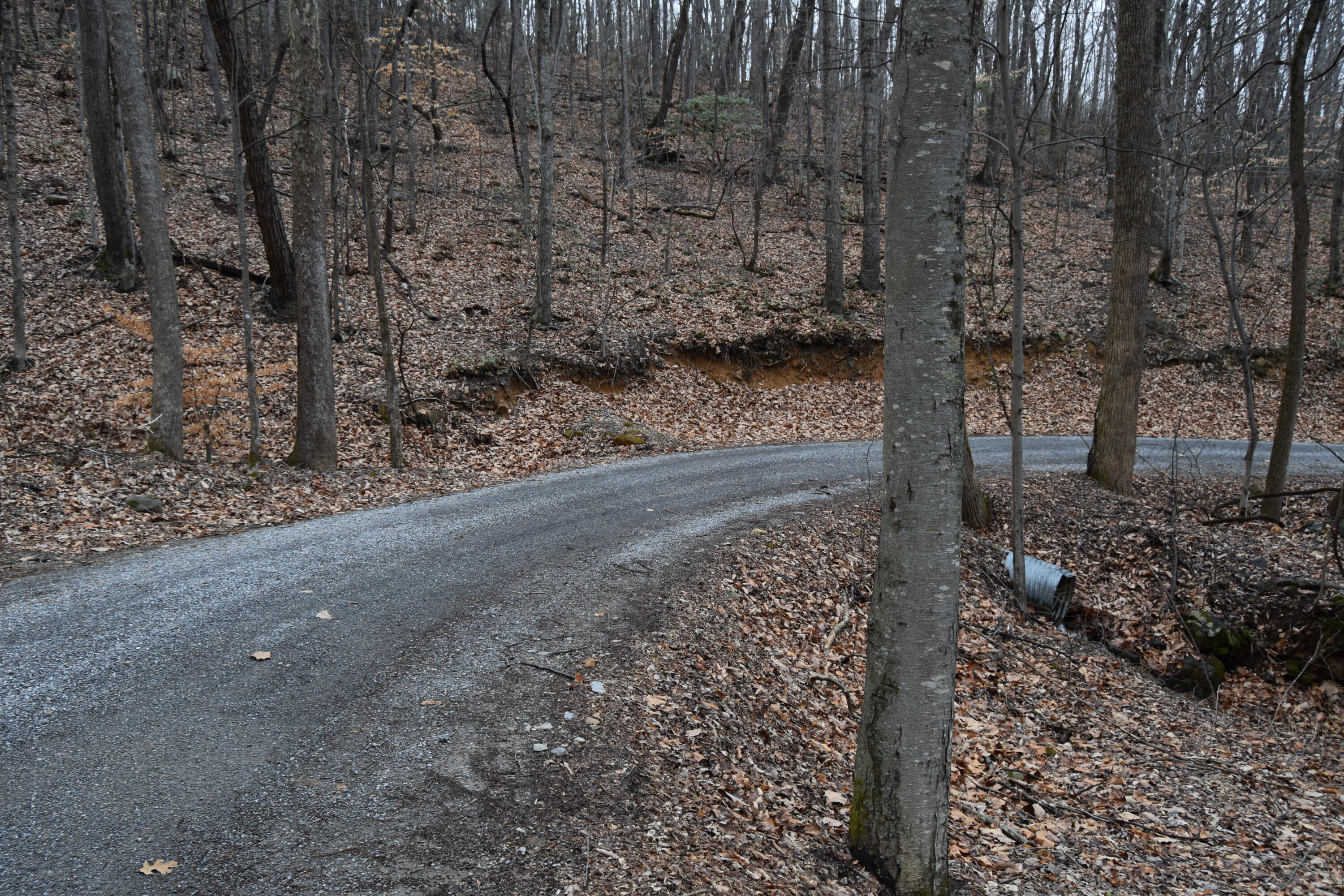 0 Hickory Falls Road Blue Ridge, VA 24064 - Photo 35 of 37 a view of a yard with trees