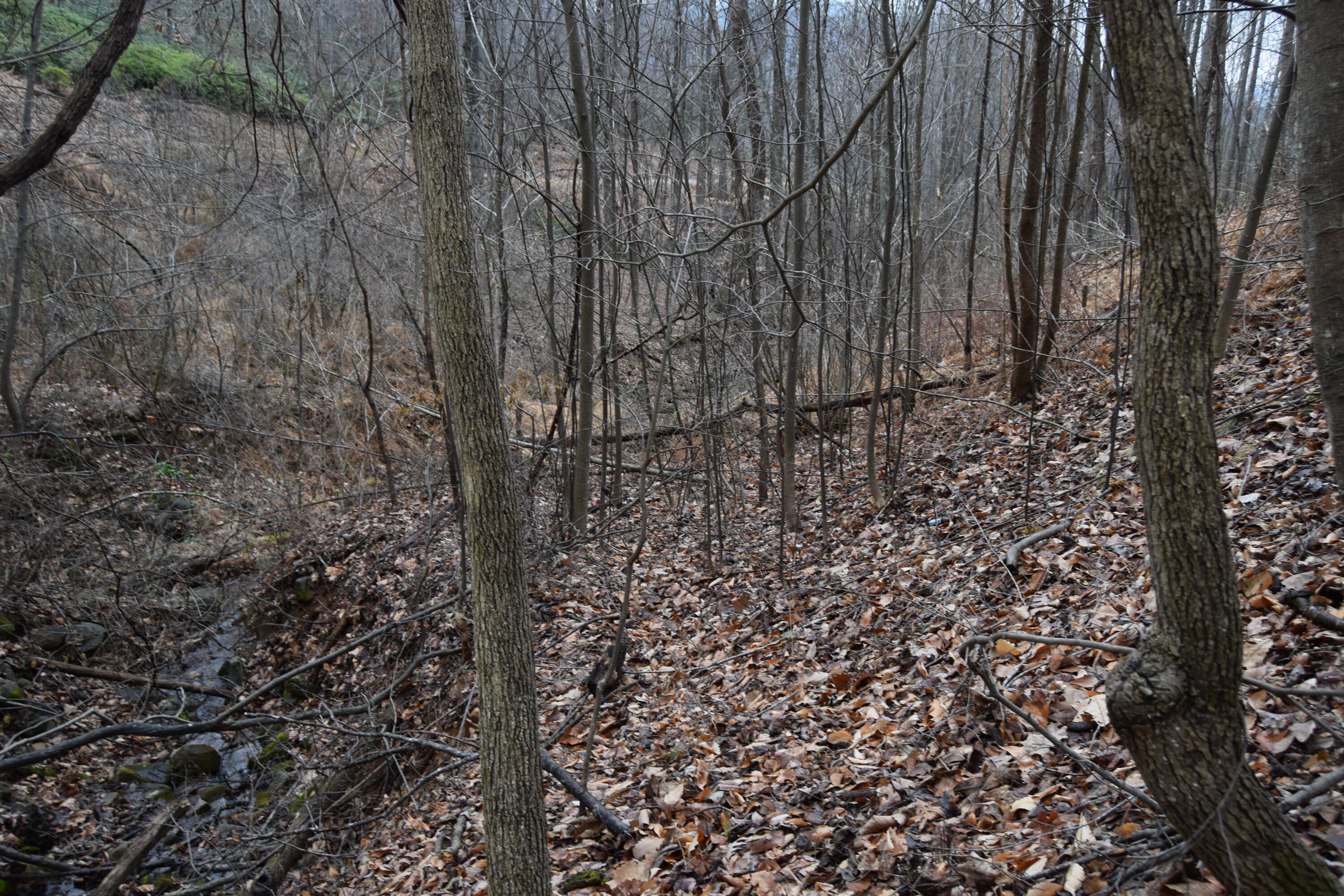 0 Hickory Falls Road Blue Ridge, VA 24064 - Photo 36 of 37