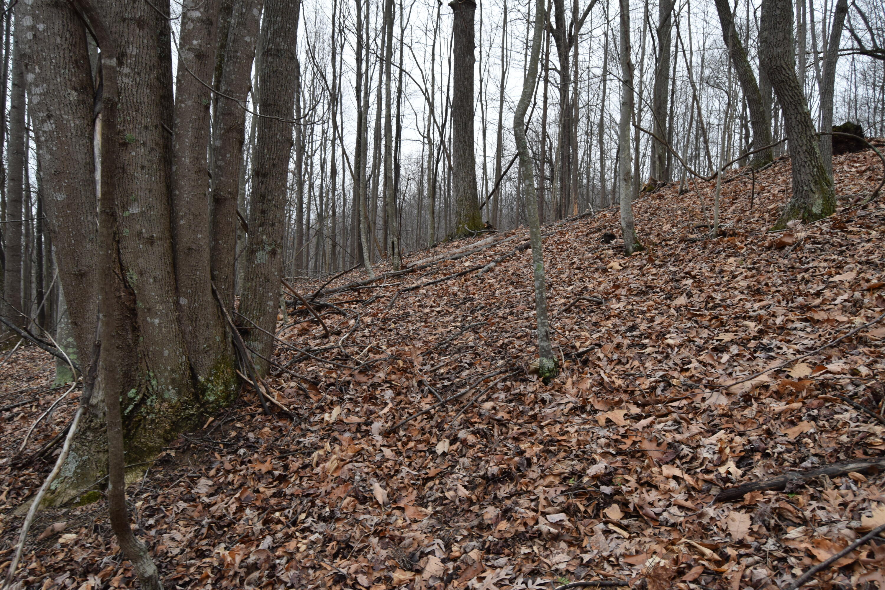 0 Hickory Falls Road Blue Ridge, VA 24064 - Photo 37 of 37 a view of a backyard of the house