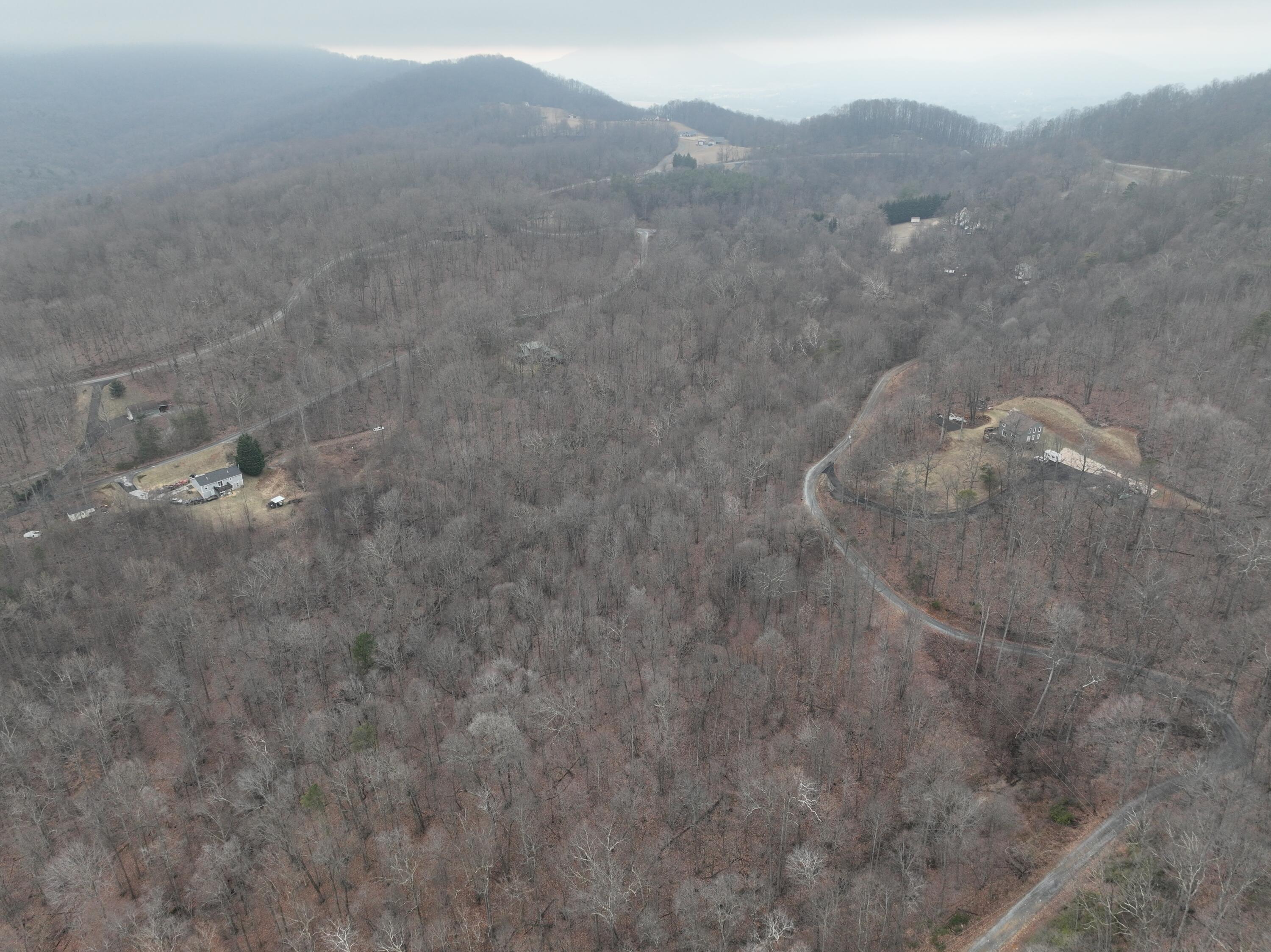 0 Hickory Falls Road Blue Ridge, VA 24064 - Photo 5 of 37 a view of a dry yard with mountains in the background