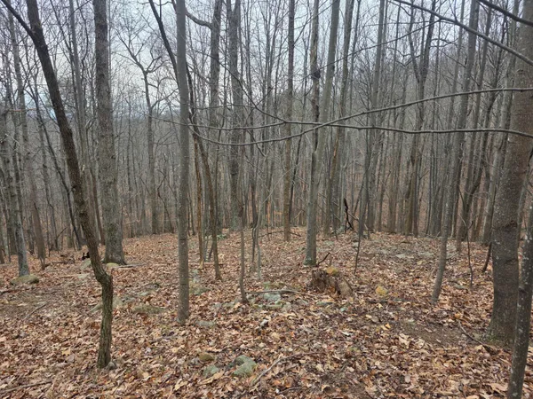 $122,500 | 0 Hickory Falls Road, Blue Ridge, VA 24064