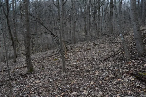 $122,500 | 0 Hickory Falls Road, Blue Ridge, VA 24064