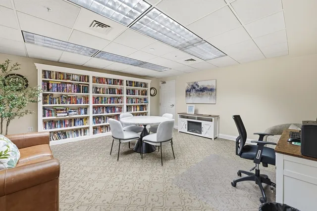a living room with furniture a rug potted plant and a large window