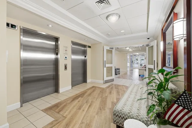 a room with furniture and a potted plant