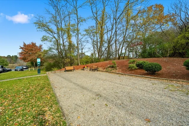 a view of a yard with plants and trees