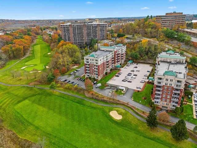 a bunch of flowers and fruits