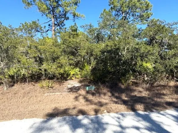 a view of a yard with a tree