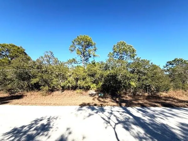 a view of a tree with a yard