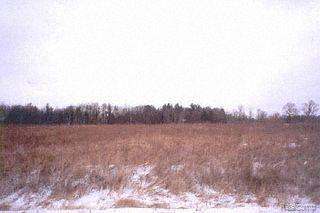 V/l Foley Road Capac, MI 48014 - Photo 1 of 1 Property Photo