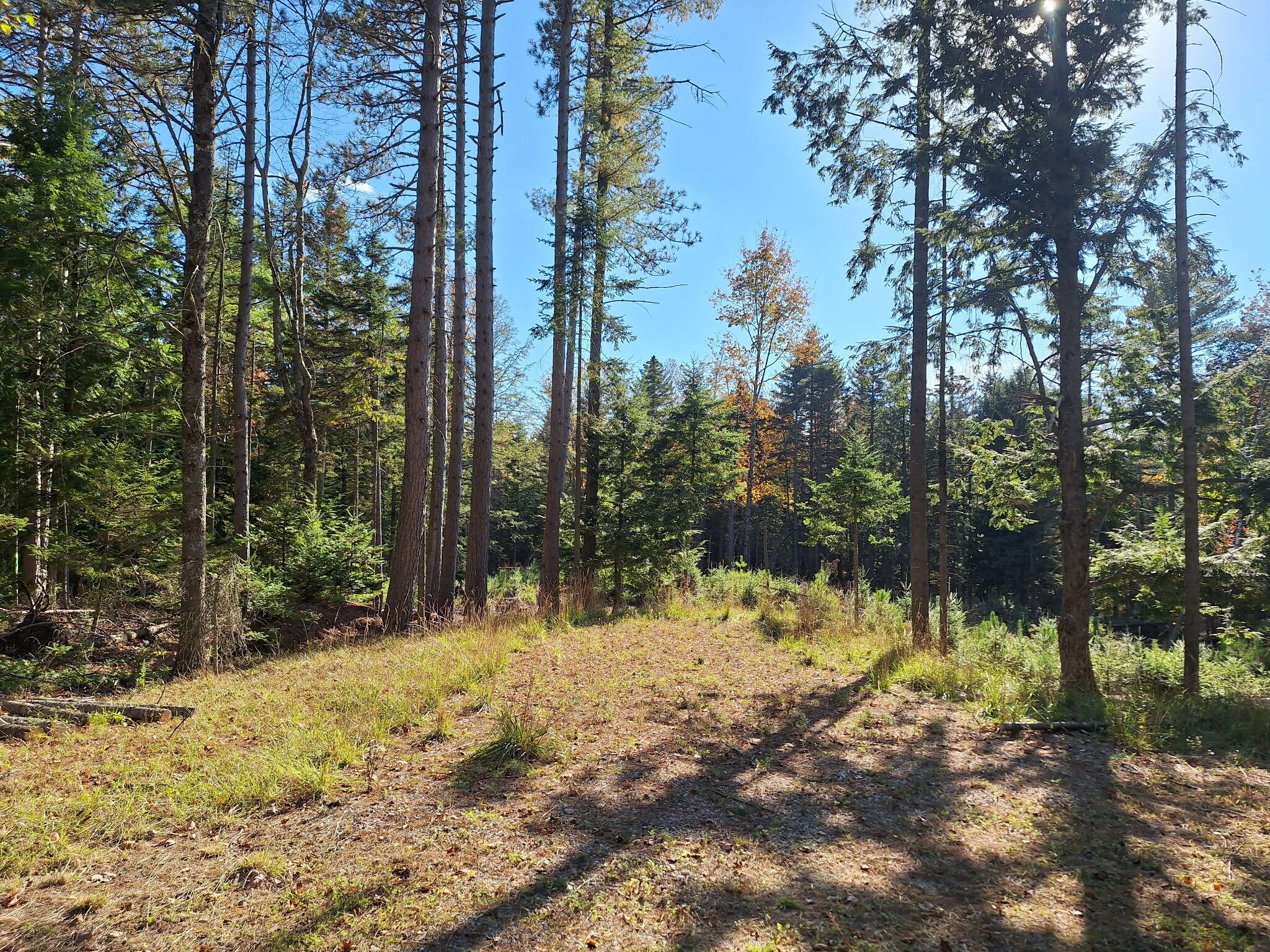 Lot #2 Collinsbrook Road Freeport, ME 04032 - Photo 5 of 10 Lot 2 Collinsbrook Road