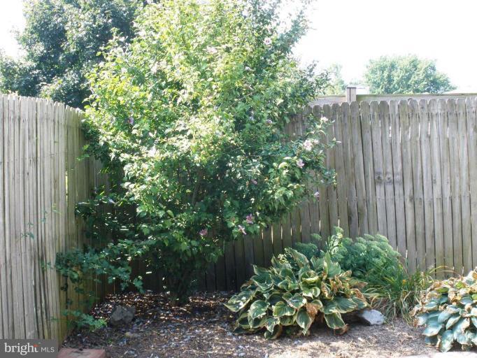 816 Chadwick Circle Frederick, MD 21701 - Photo 17 of 17 Garden
