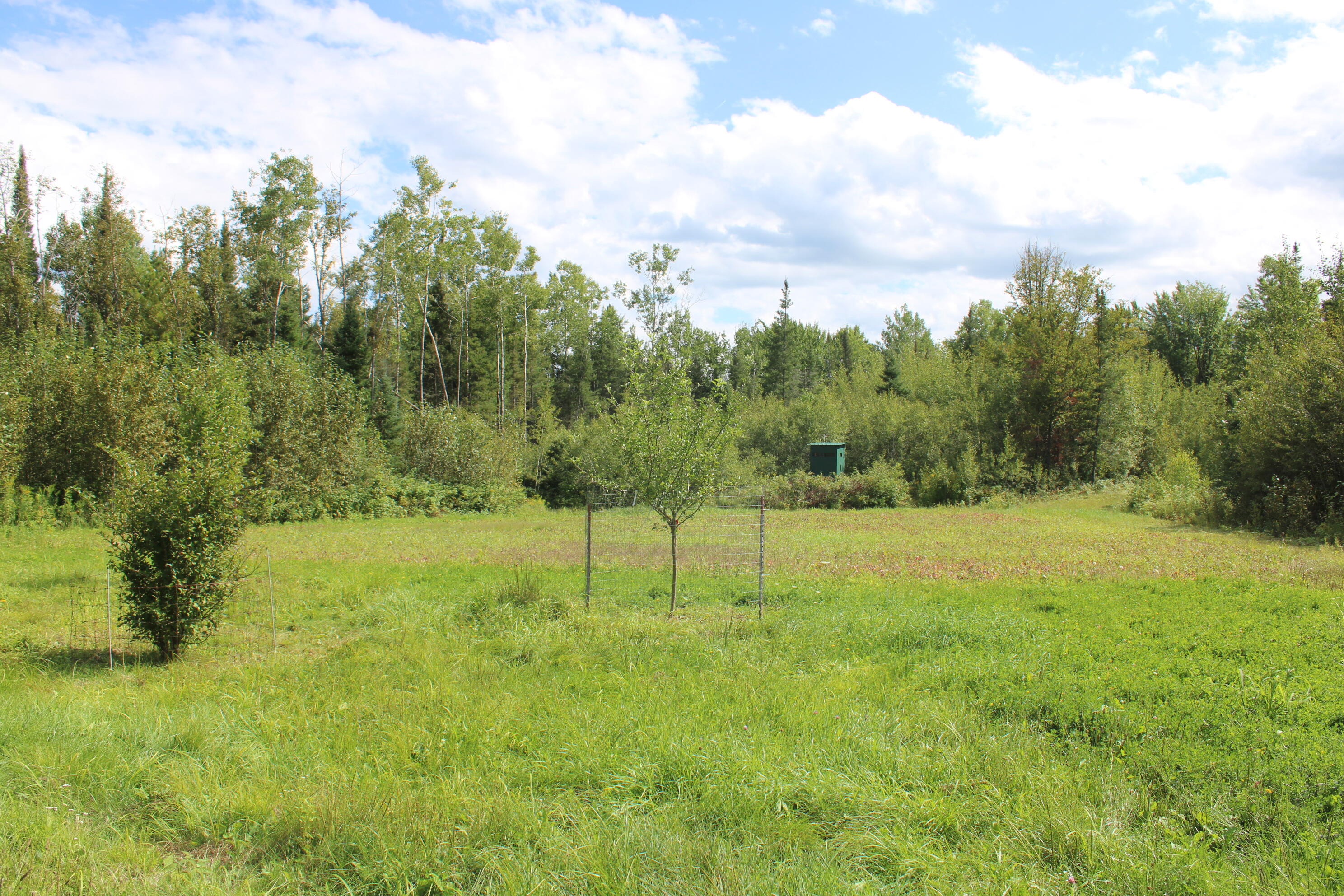6720 Welch Road Curran, MI 48728 - Photo 150 of 155 IMG_6281