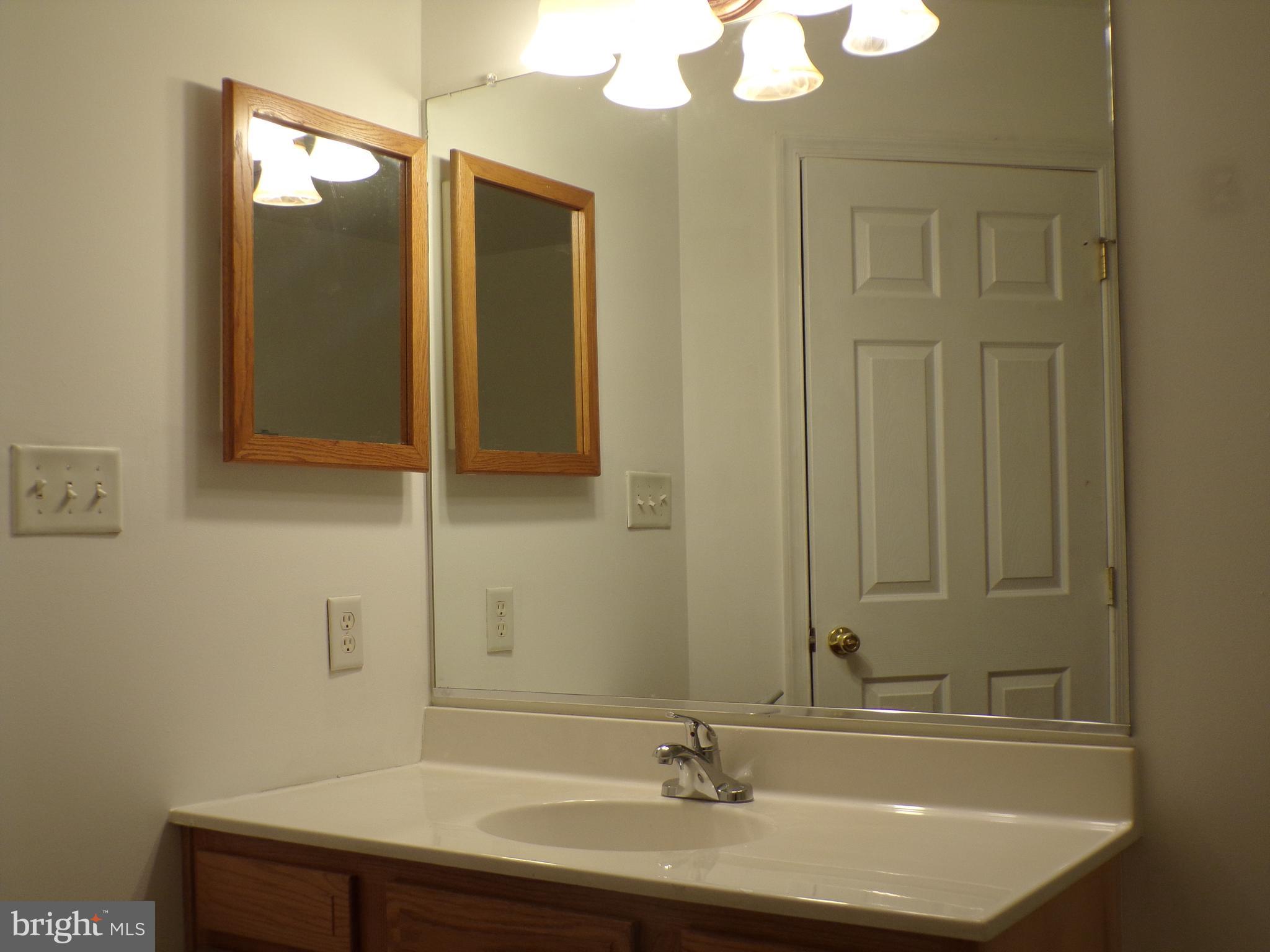 33 Fuzzy Tail Drive Ranson, WV 25438 - Photo 20 of 28 Primary Bath