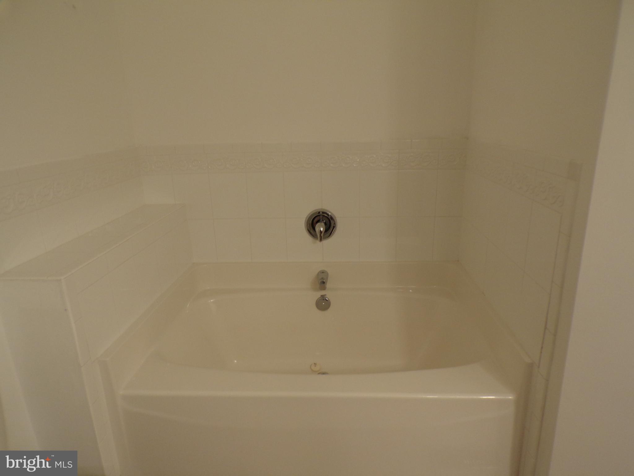 33 Fuzzy Tail Drive Ranson, WV 25438 - Photo 22 of 28 Soaking Tub