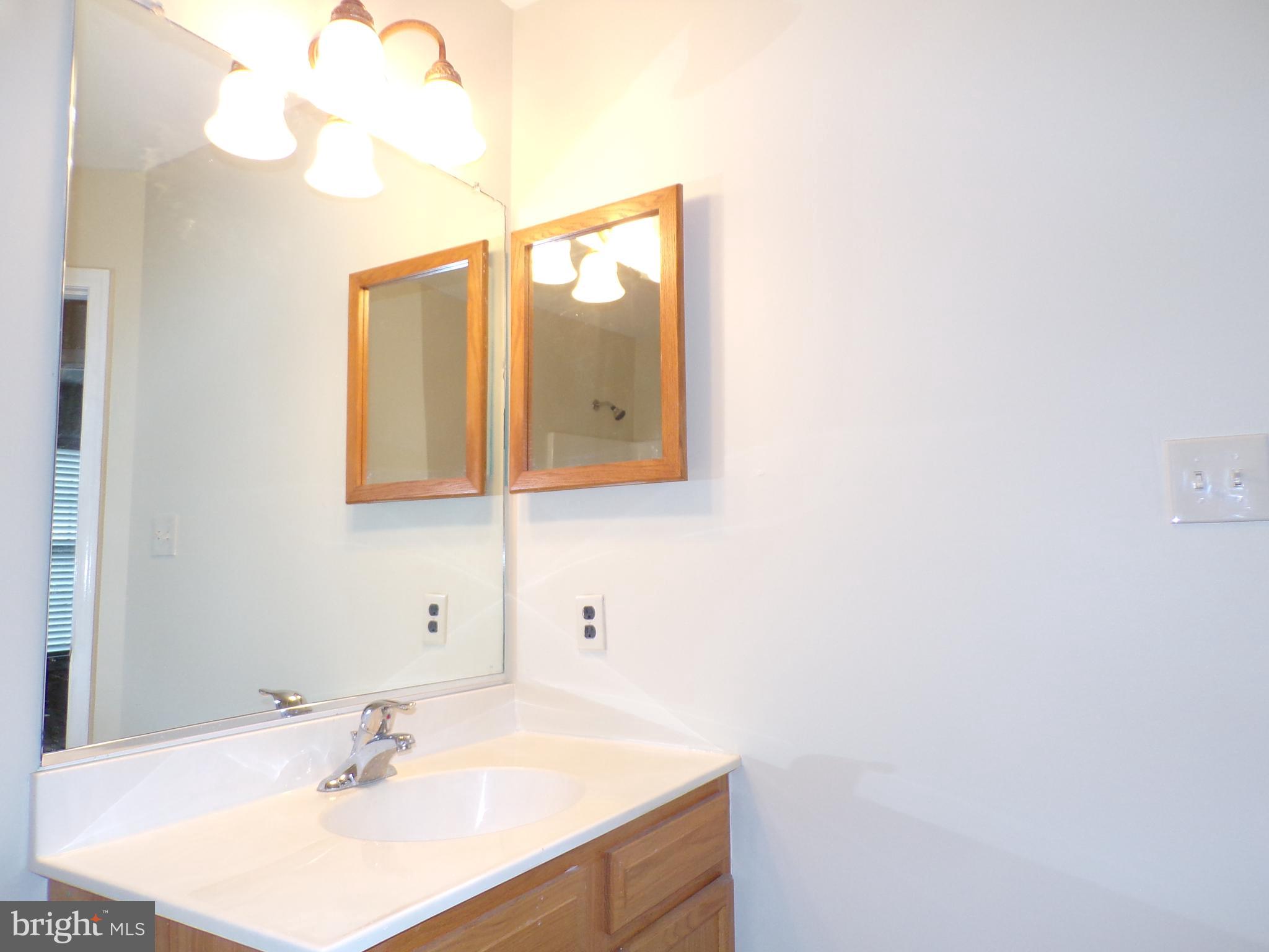33 Fuzzy Tail Drive Ranson, WV 25438 - Photo 28 of 28 Hall Bath