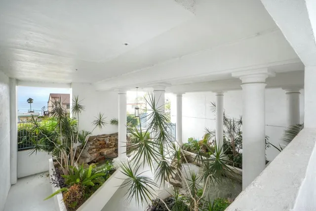 a view of a potted plant in front of a house