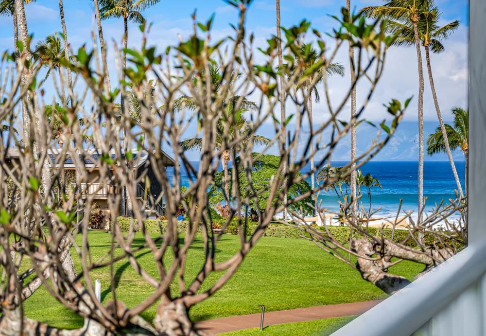5315 Lower Honoapiilani Road, Unit C217 Lahaina, HI 96761 - Photo 6 of 26 a view of a backyard