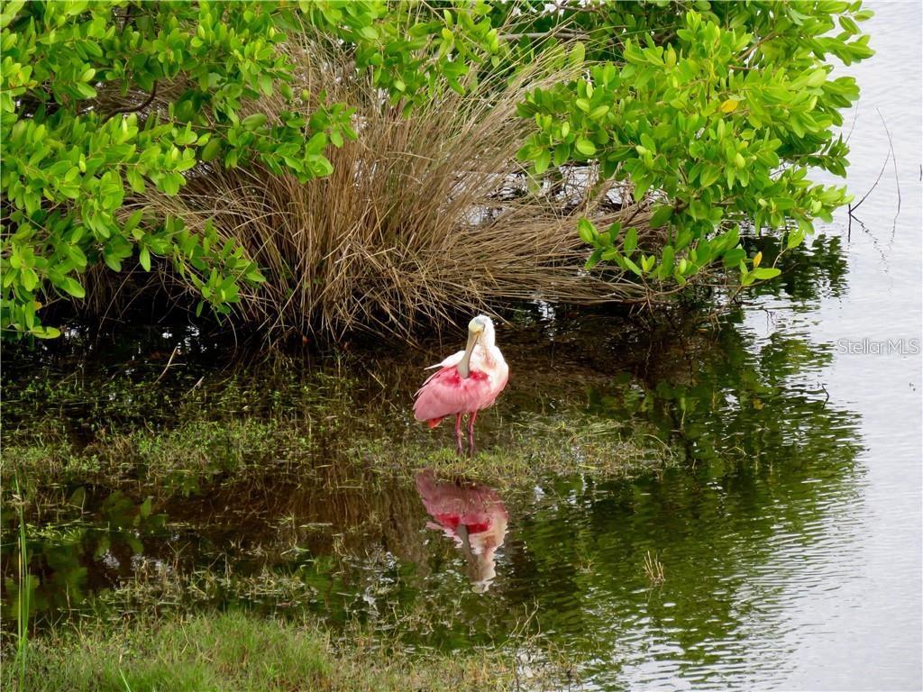 6315 Shoreline Drive, Unit 3307 Seminole, FL 33708 - Photo 34 of 40