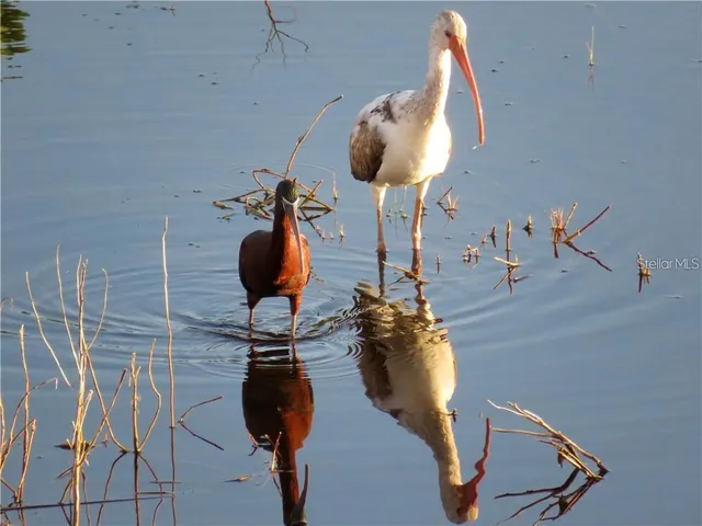 $315,000 | 6315 Shoreline Drive, Unit 3307, Seminole, FL 33708