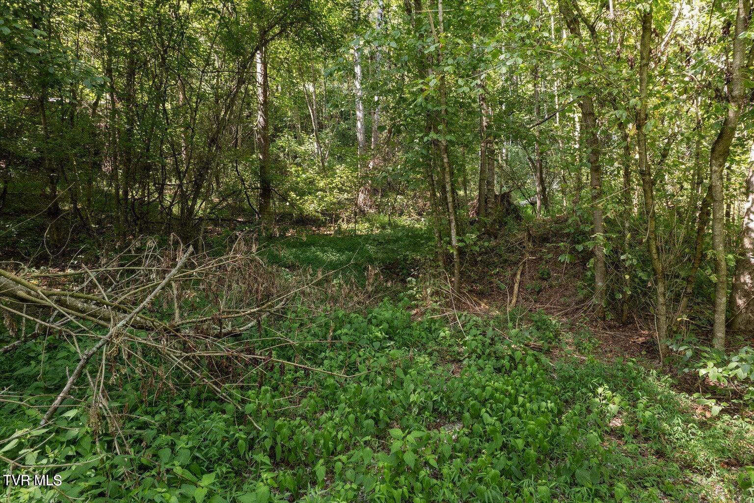 Tbd North Fork River Road, Unit 3 Abingdon, VA 24210 - Photo 24 of 34 *