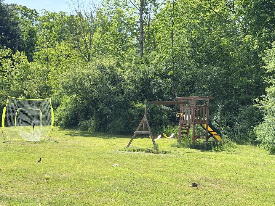 5805 Davis Road Alfred, NY 14803 - Photo 7 of 24 Swing set