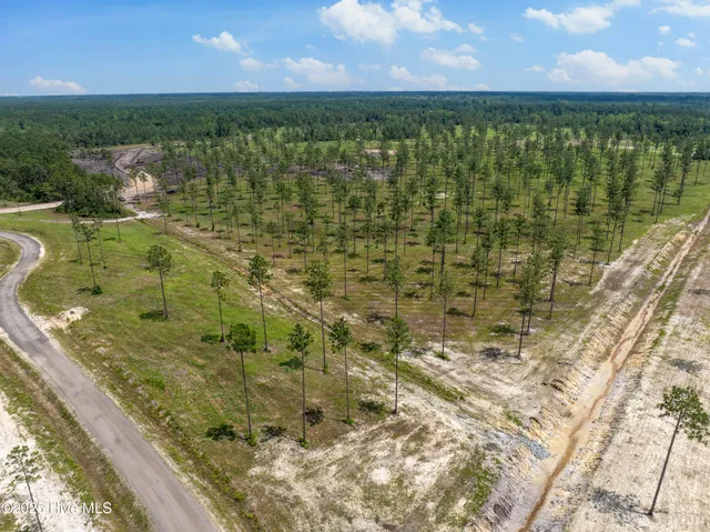 $1,359,900 | Lot 25 Cattle Drive, Hampstead, NC 28443