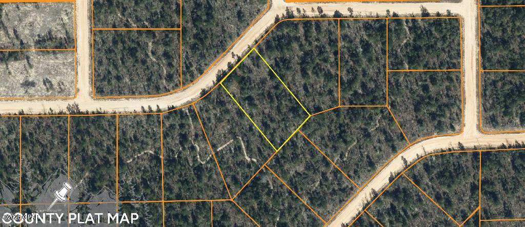 0 Jackson Street Marianna, FL 32448 - Photo 5 of 7