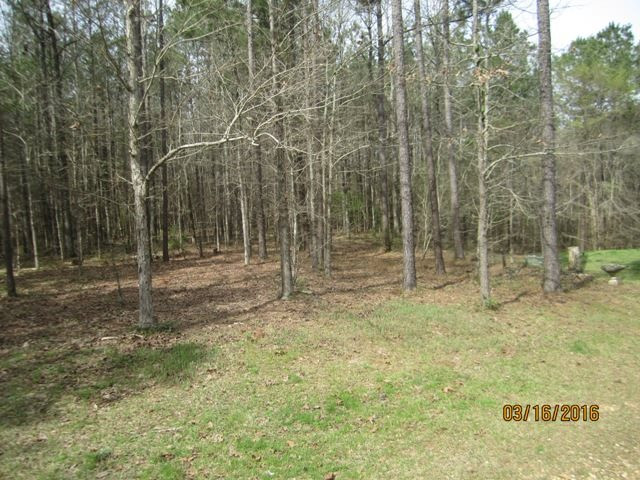 1519 Ashley Road Brandon, MS 39042 - Photo 2 of 36 Photo 2