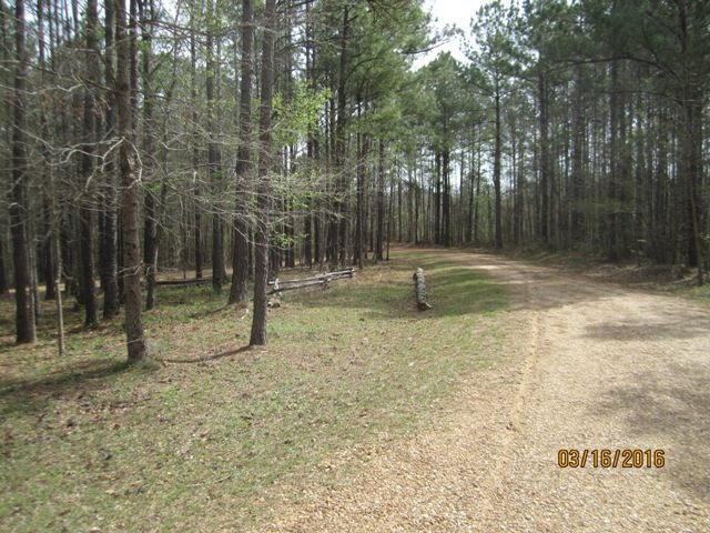 1519 Ashley Road Brandon, MS 39042 - Photo 3 of 36 Photo 3