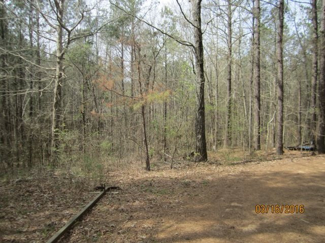 1519 Ashley Road Brandon, MS 39042 - Photo 35 of 36 Photo 35