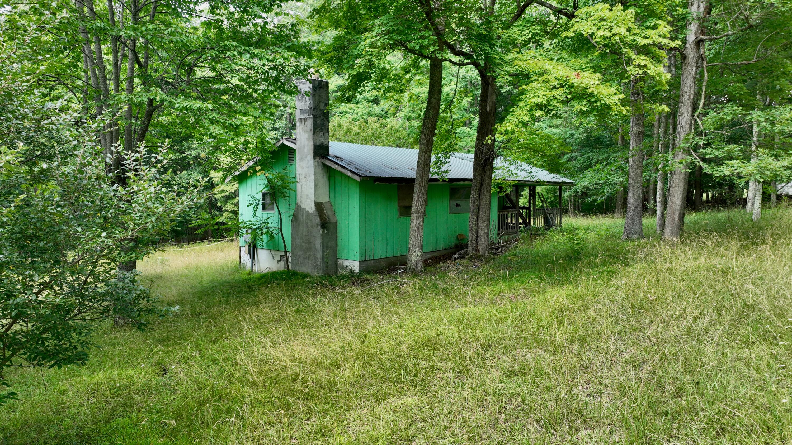 2703 Slab Camp Road Renick, WV 24966 - Photo 15 of 26 Gallery Image 15