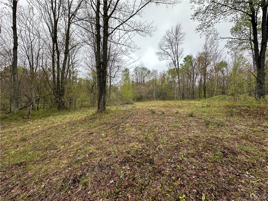 4815 Texas Road Croghan, NY 13619 - Photo 5 of 19