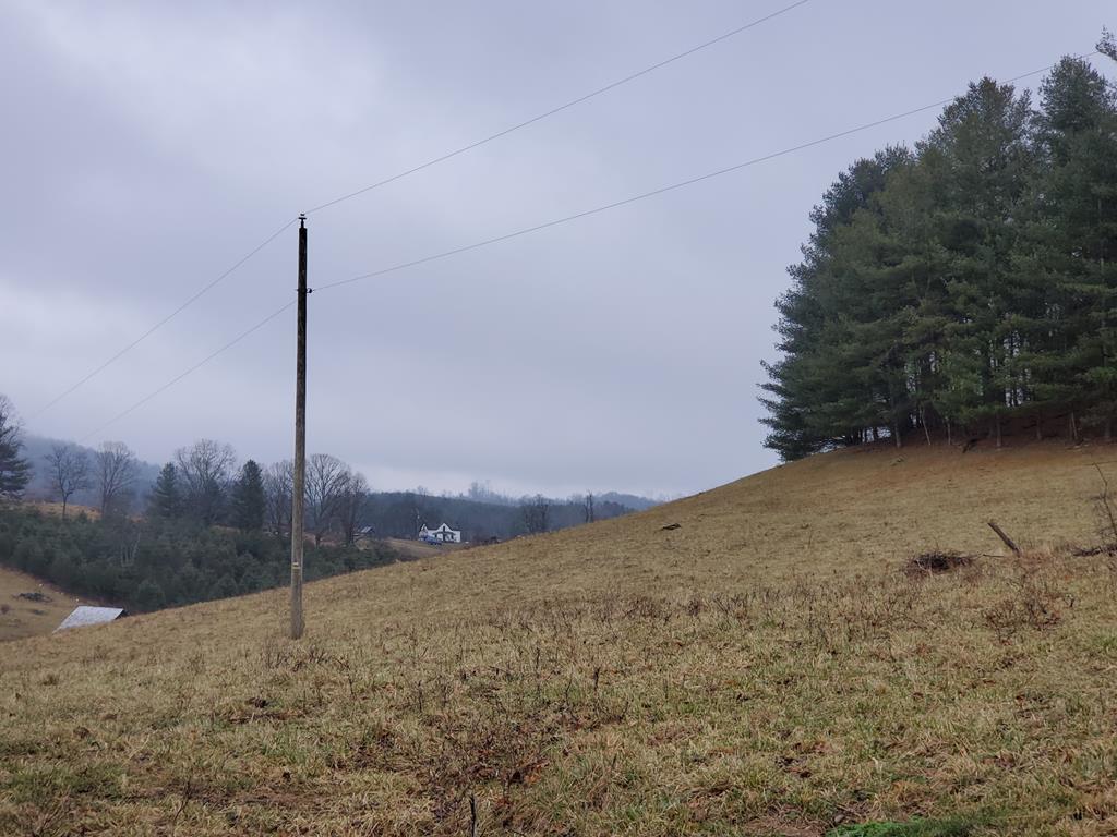 Tbd Peach Bottom Road Independence, VA 24348 - Photo 2 of 15 Gallery Image 2