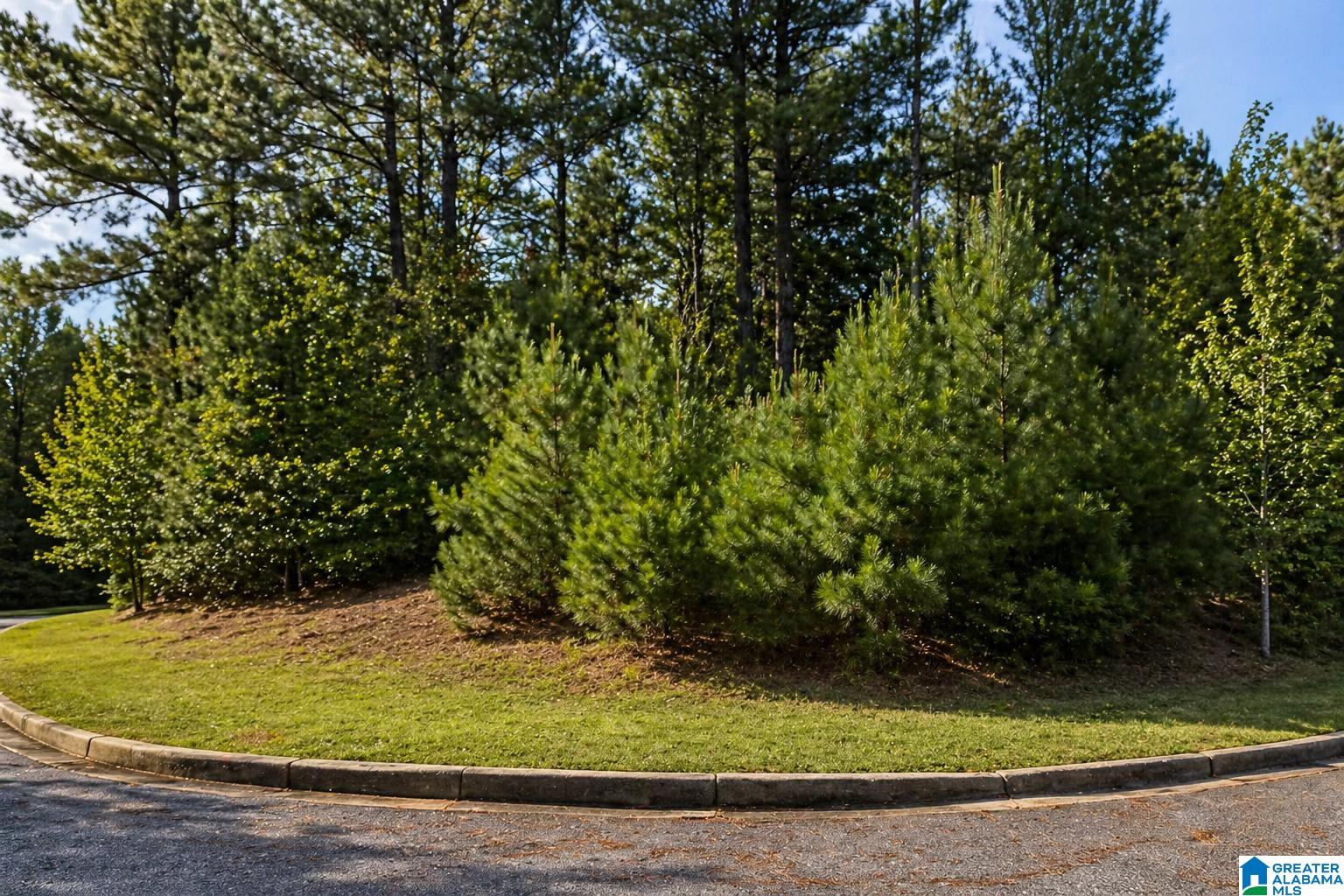 1002 Lake View Lane, Unit 131 Calera, AL 35040 - Photo 1 of 1