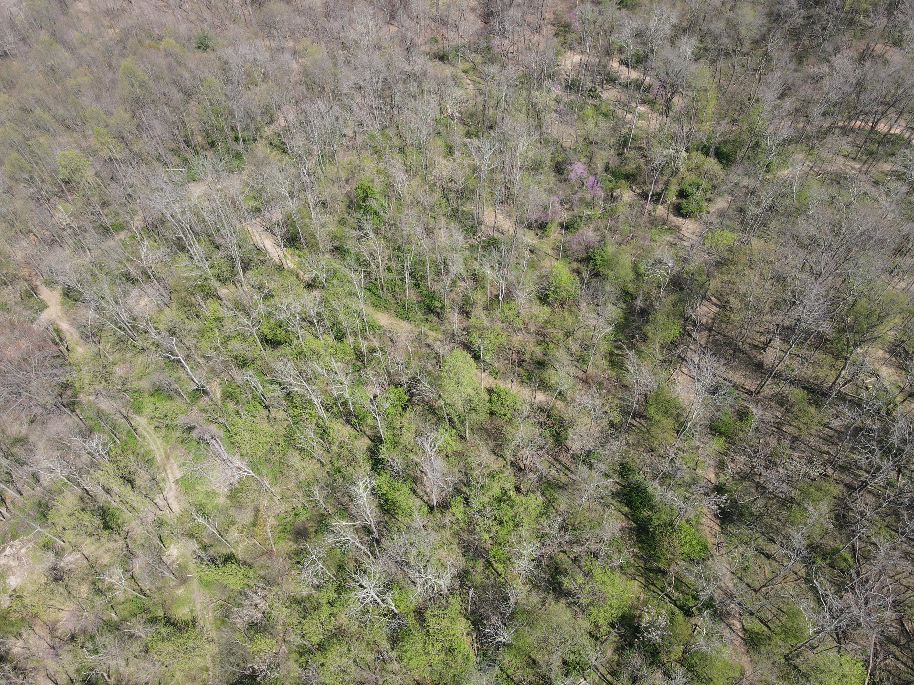 8670 Hoop Pole Road Roseville, OH 43777 - Photo 58 of 65 DJI_0011