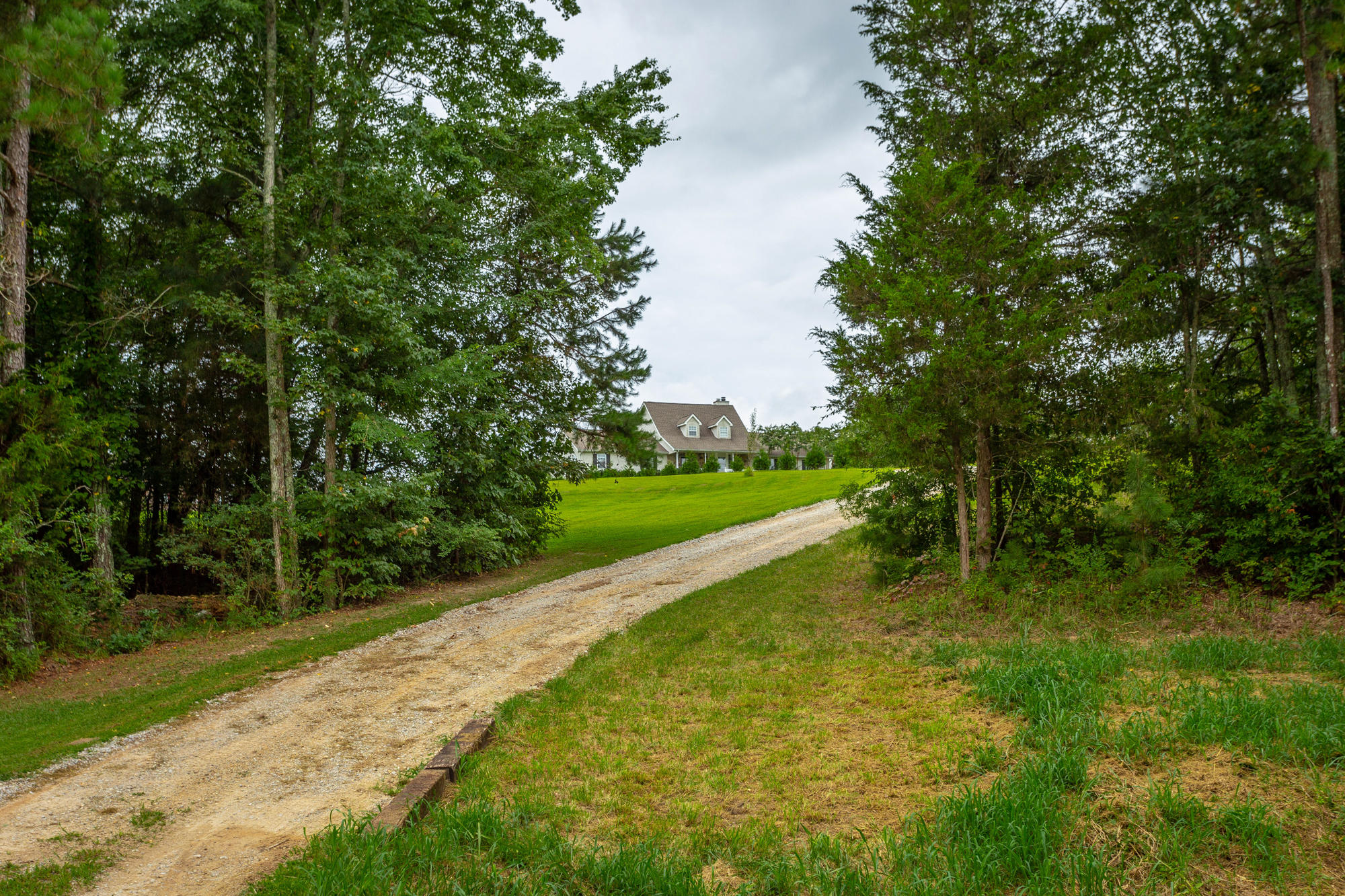 95 Patty Road Ringgold, GA 30736 - Photo 1 of 46 Driveway
