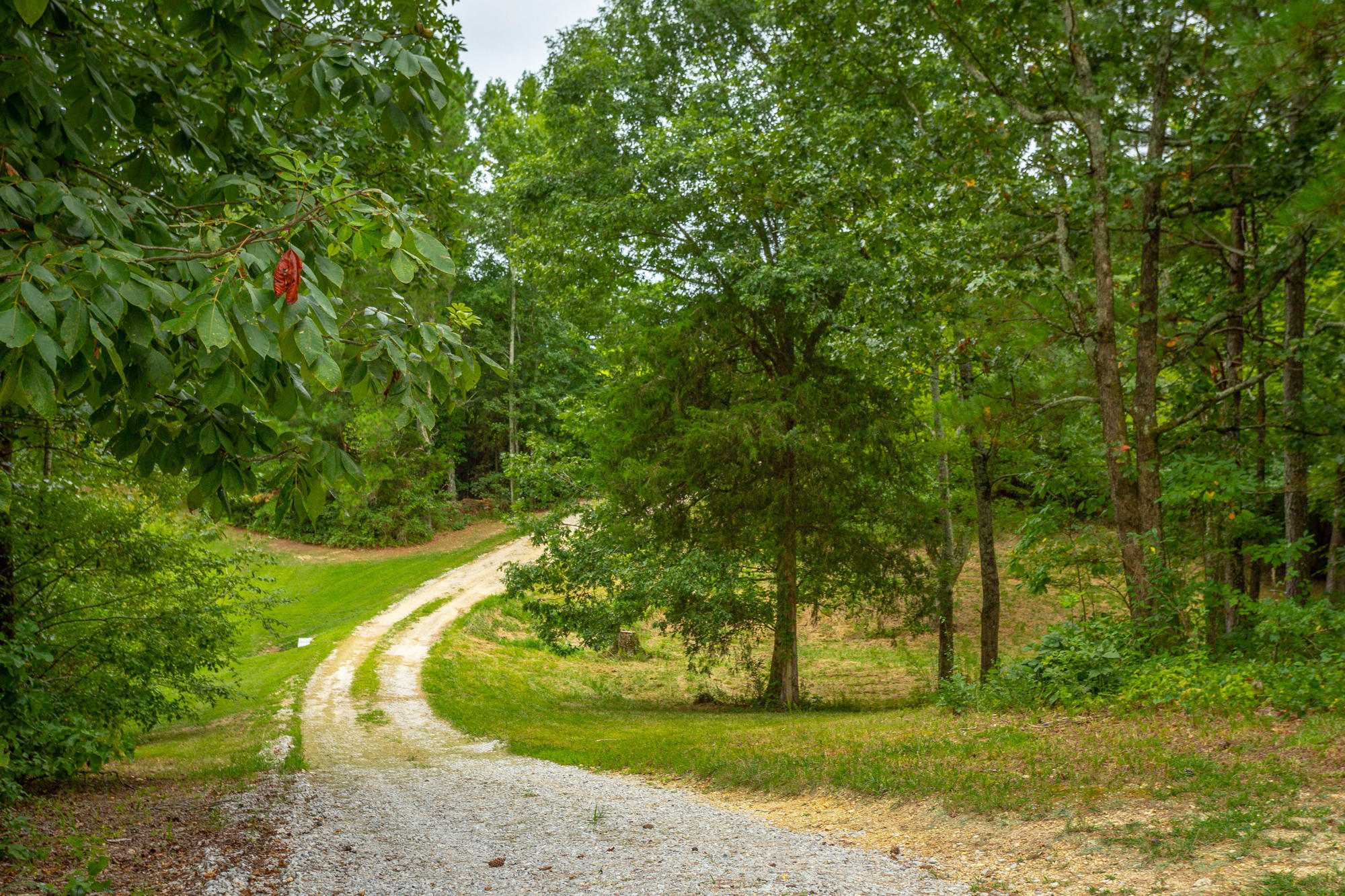 95 Patty Road Ringgold, GA 30736 - Photo 46 of 46 Driveway