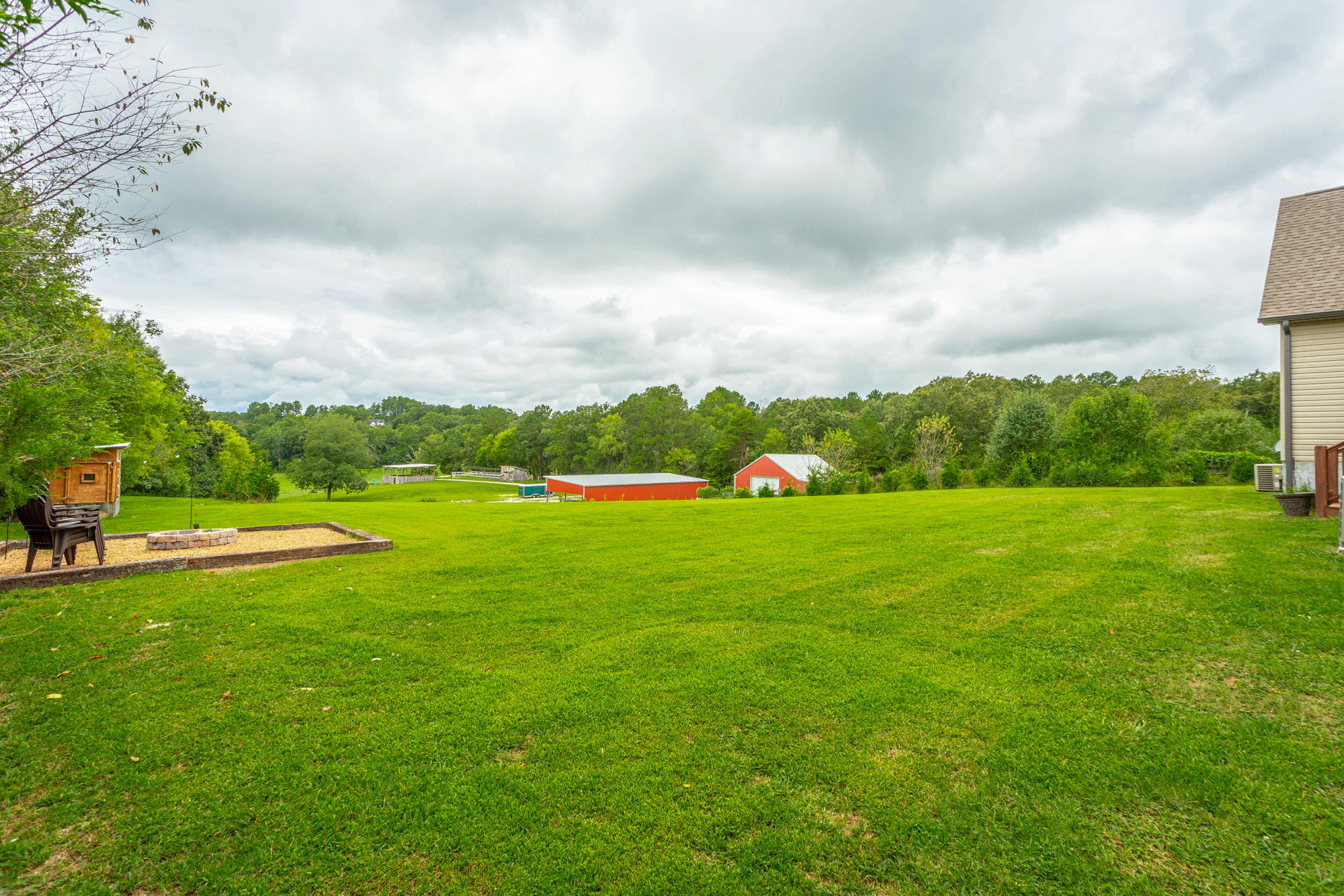 95 Patty Road Ringgold, GA 30736 - Photo 6 of 46 Back Yard