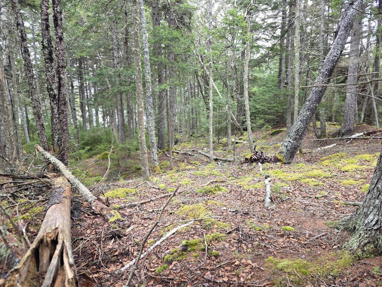 Lot 1 Windward Way Addison, ME 04606 - Photo 11 of 14 20260415_141124