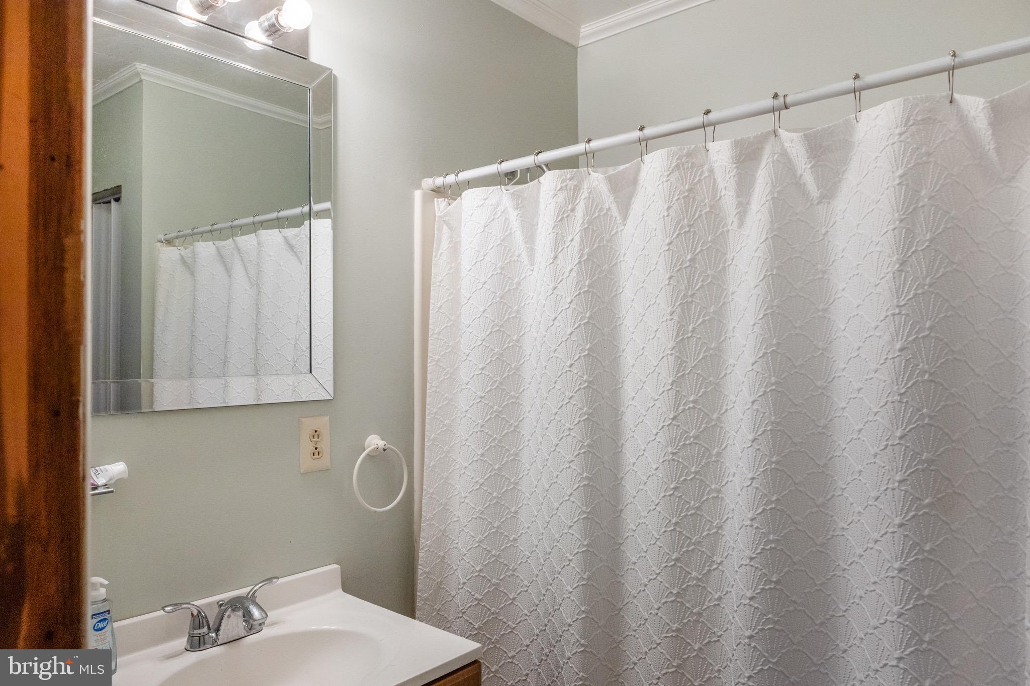 3223 Senedo Road Quicksburg, VA 22847 - Photo 11 of 46 full bath on main level