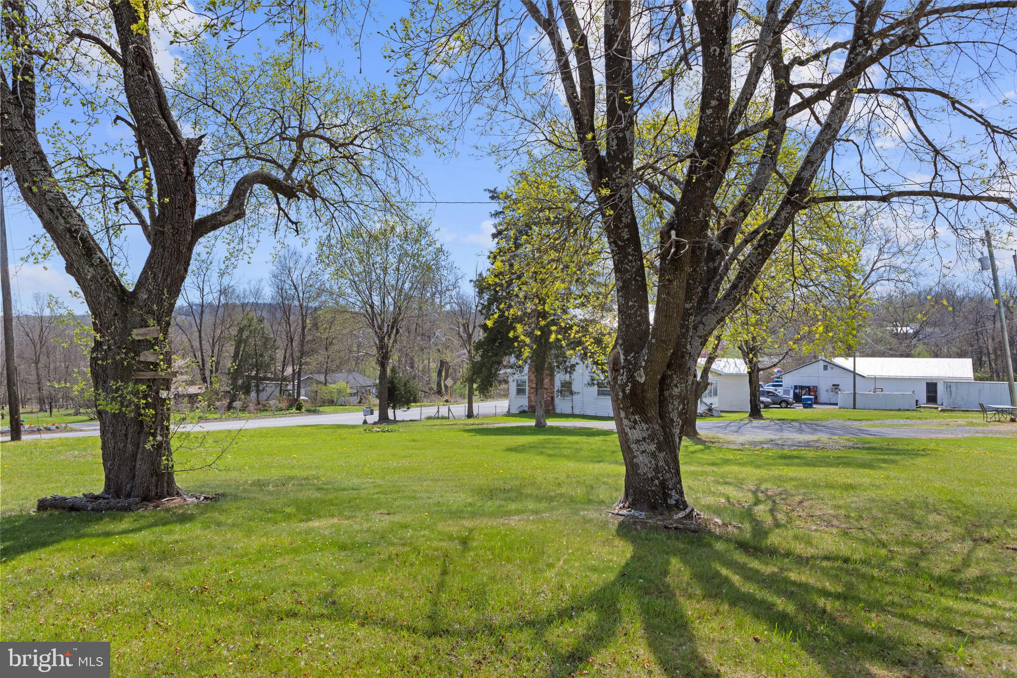 3223 Senedo Road Quicksburg, VA 22847 - Photo 6 of 46